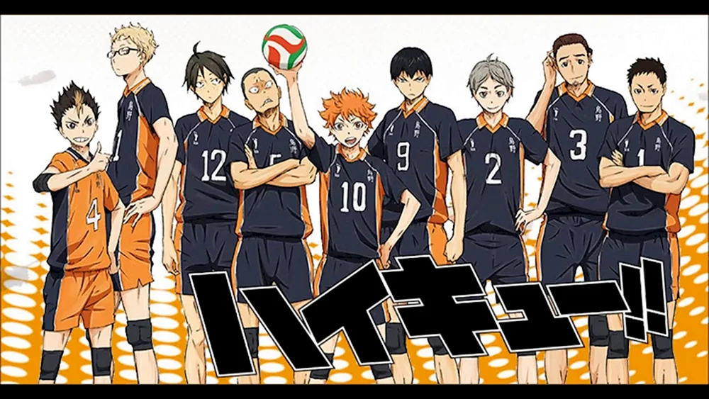 Anime Volleyball Karasuno