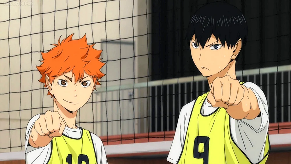 Anime Volleyball Karasuno