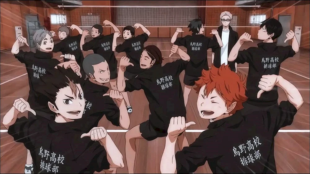 Karasuno Team anime