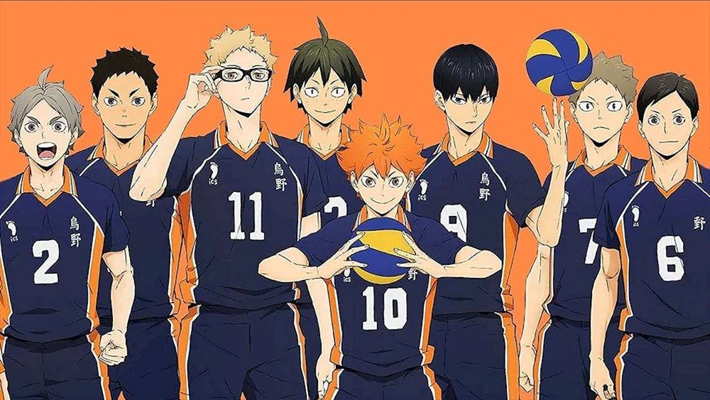 Anime-Volleyball haikyu