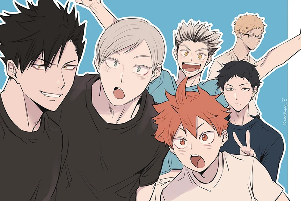 Anime-Volleyball haikyu