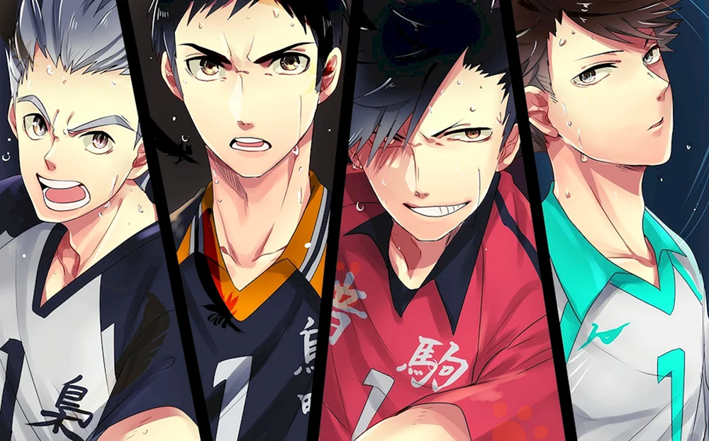 Karasuno Team anime