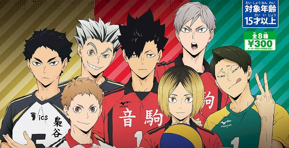 Anime-Volleyball Karasuno