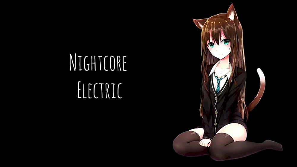 Kurumi Kantoku Anime