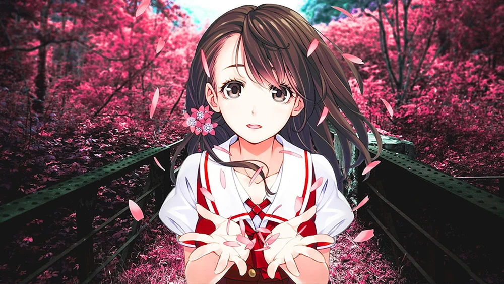 Anime.