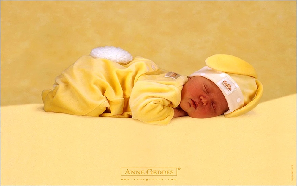 Anna Geddes Babys