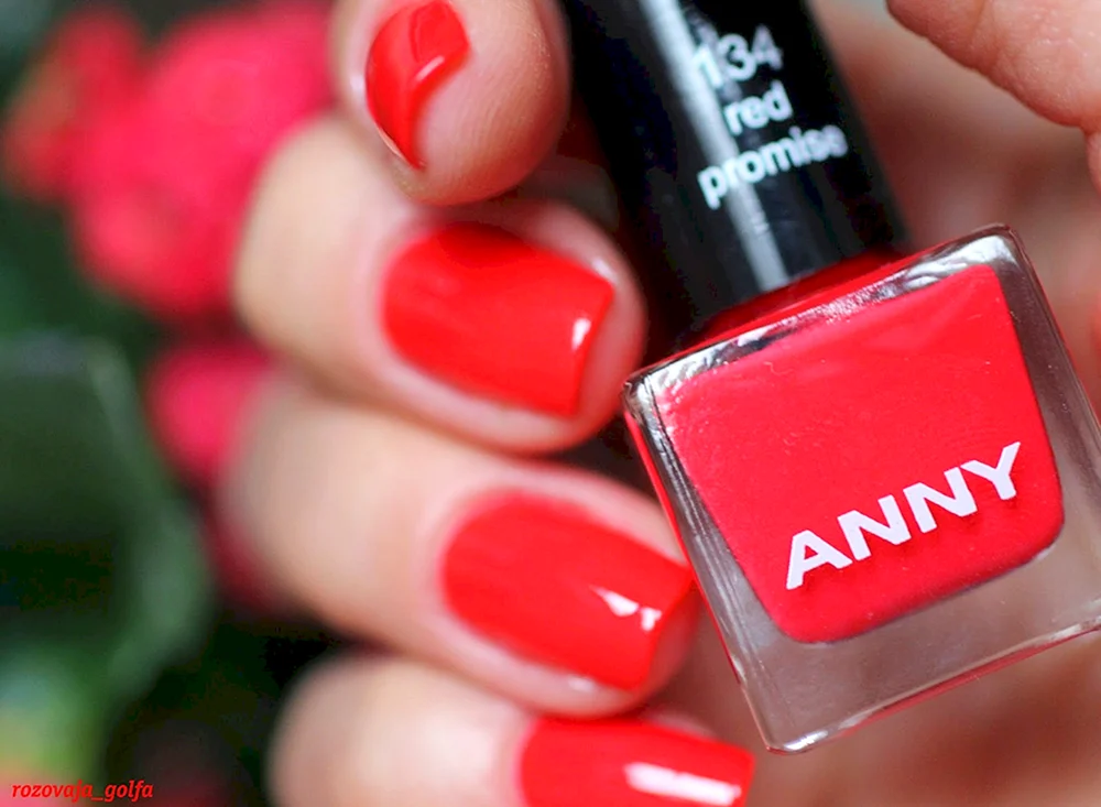 Anny 309