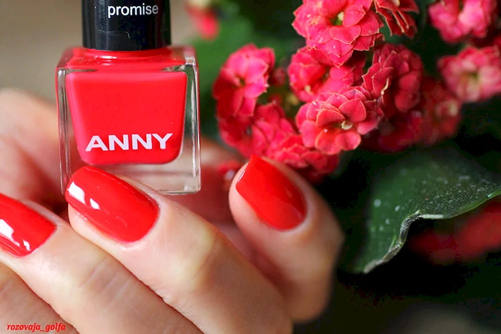 Anny Red Red Wine