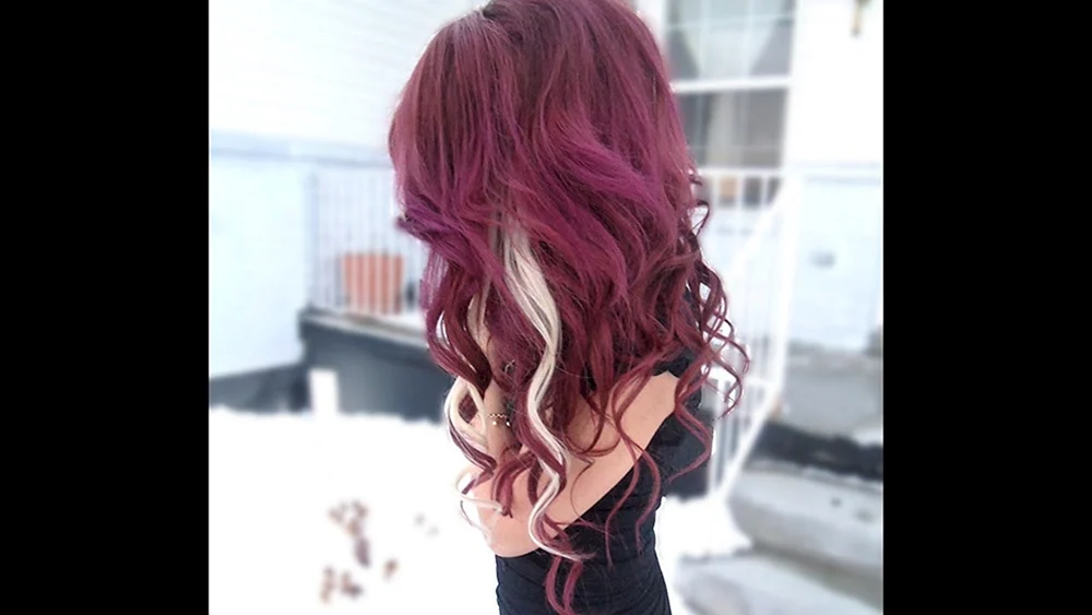 Antocyanin-Burgund