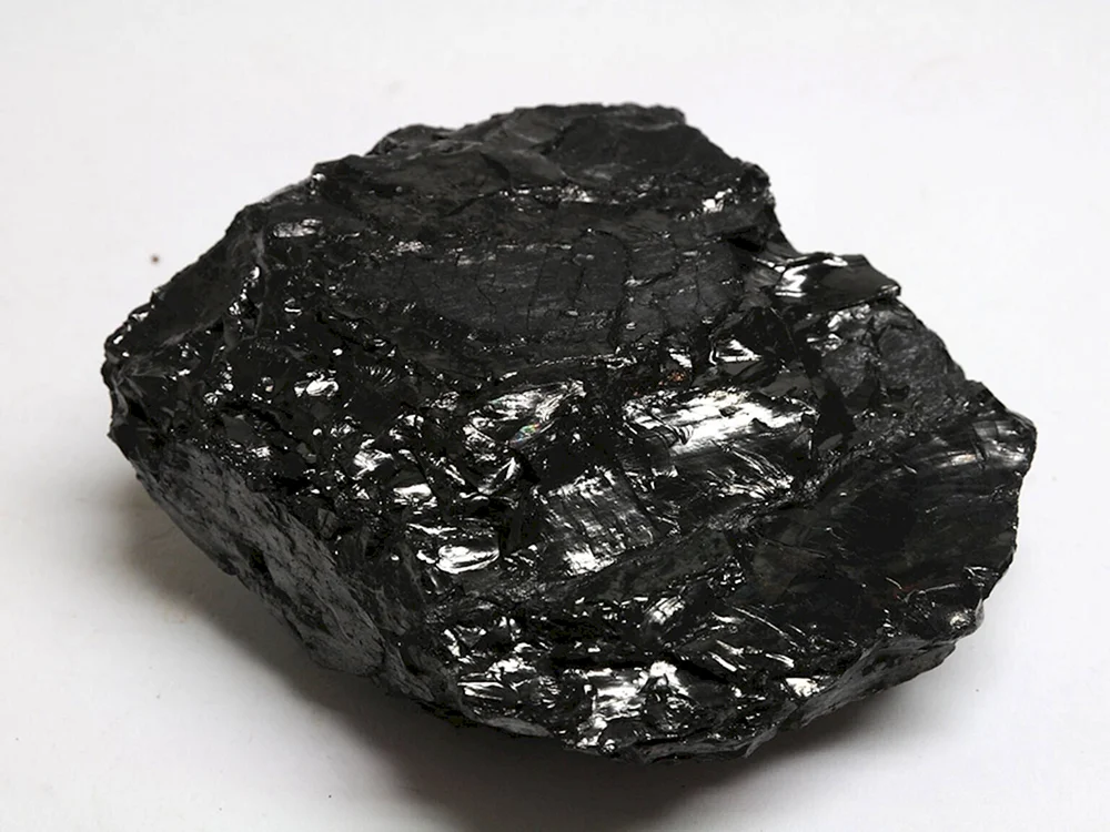 Braunkohle Steinkohle