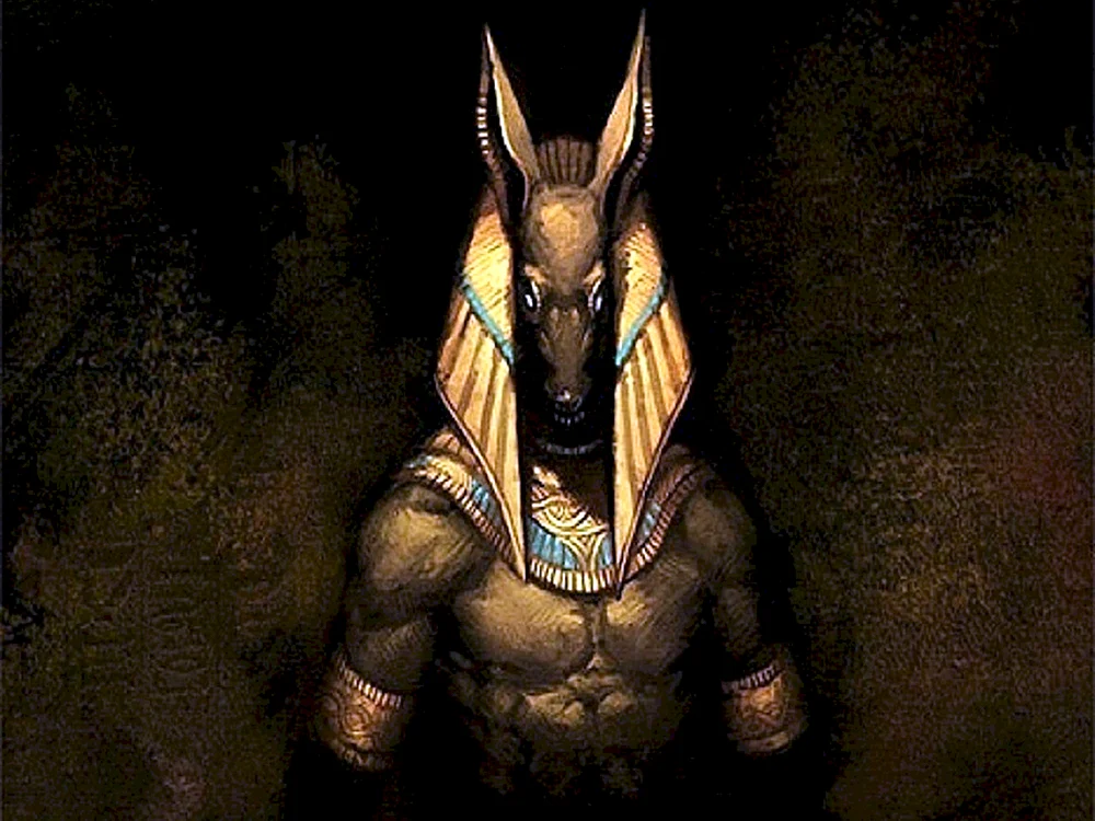 Anubis