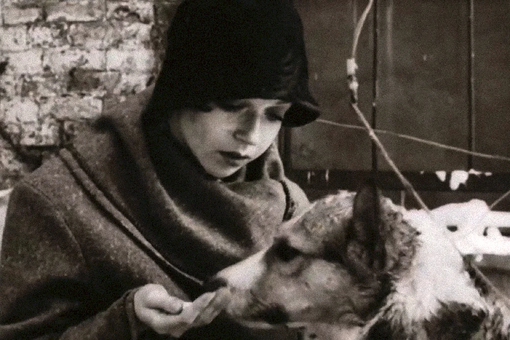 Angelika Nevolina Hundeherz