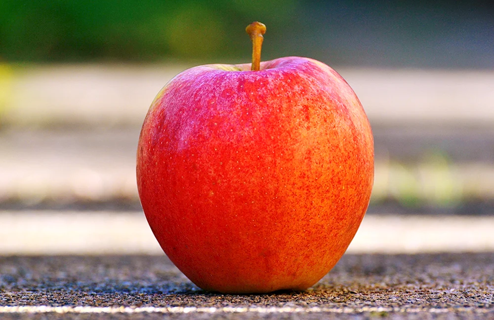 Grüne Grüne ÄpfelApfel Obst von unten