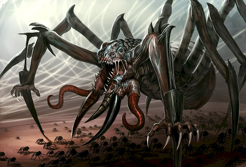 Spinnentiere