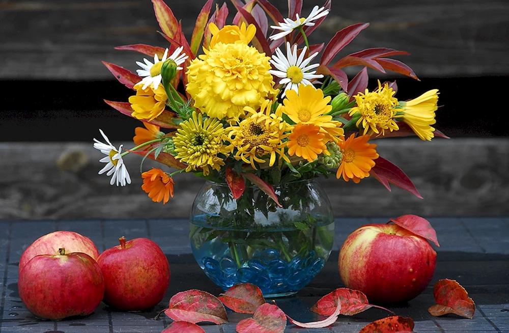 Ariel Buteau Herbstblumen