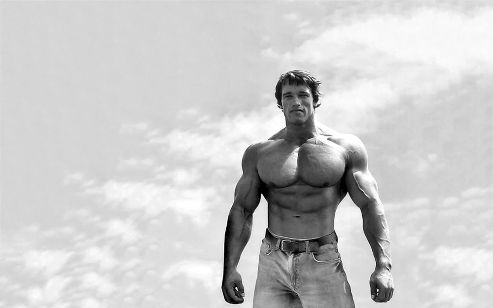 Arnold Schwarzenegger