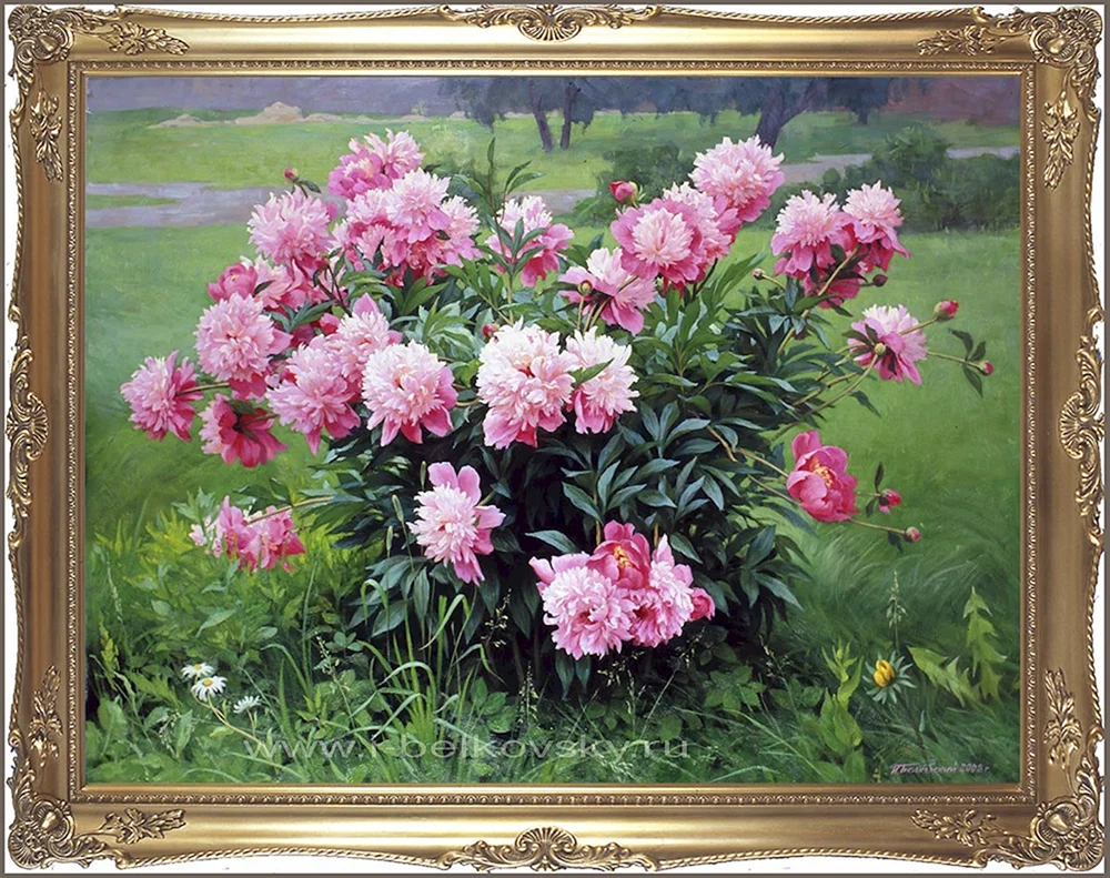 Zbigniew Kopania Pfingstrosen