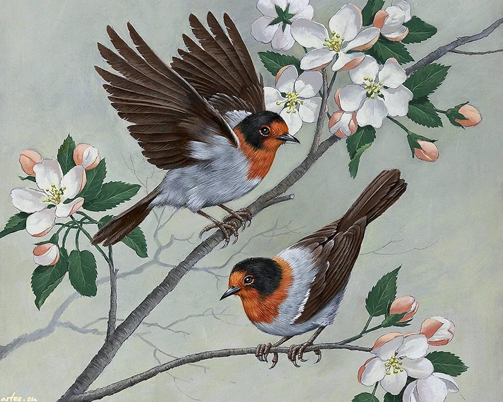 Vogelumriss
