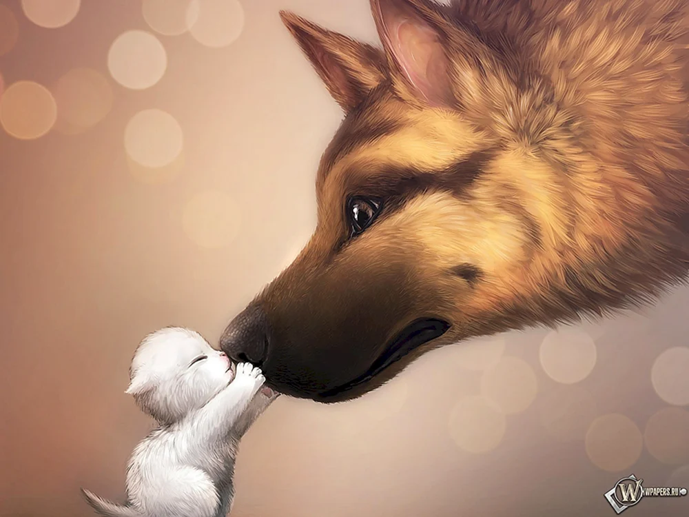 Hundekunst