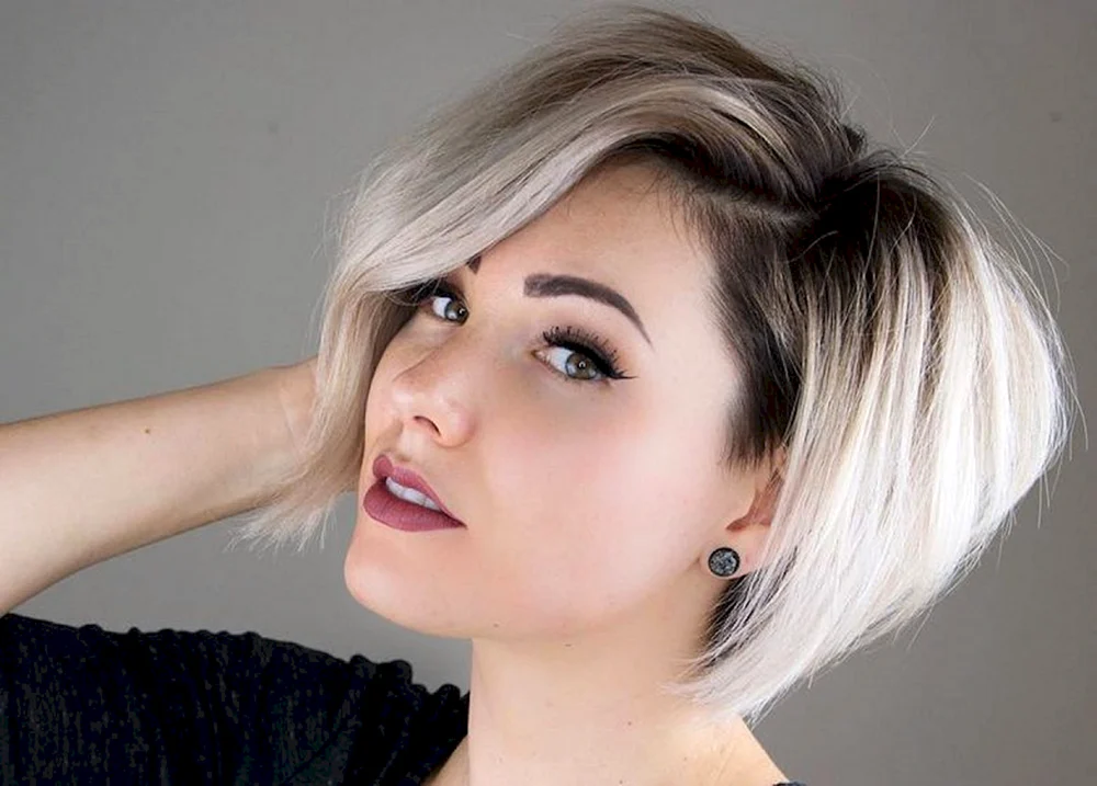 Pixie Bob mit geschlossenen Ohren