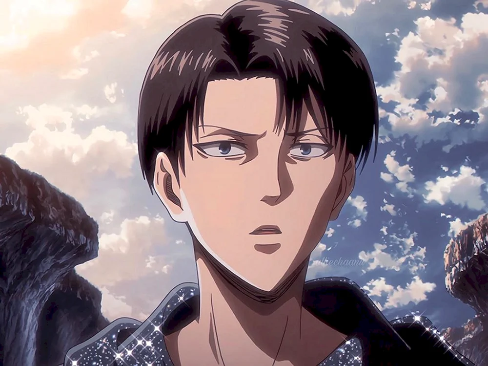 Captain Levi anime