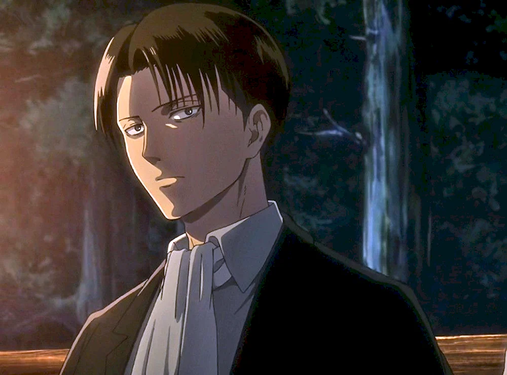 Angriff der Titanen Levi