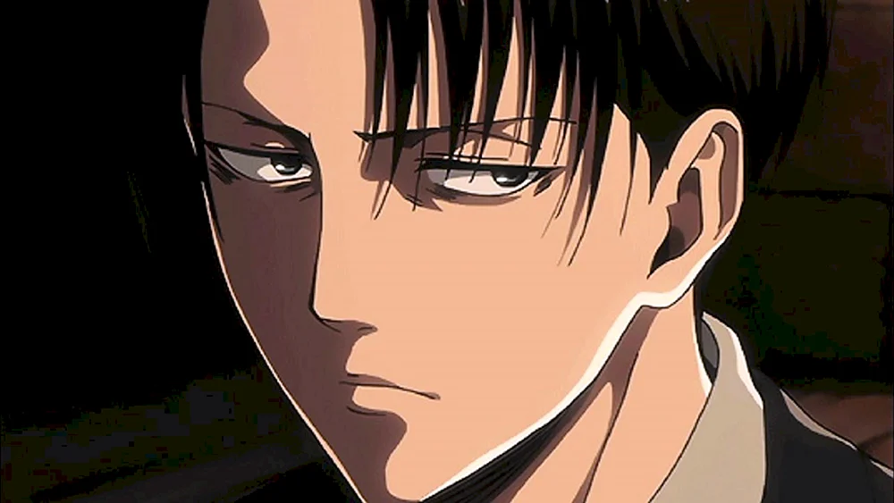 Captain Levi