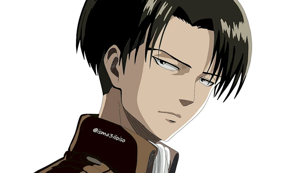 Angriff der Titanen Levi Ackerman