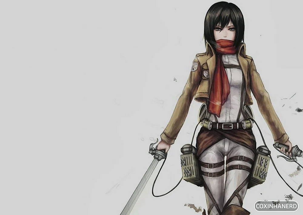 Attack of the Titans Mikasa Ackerman