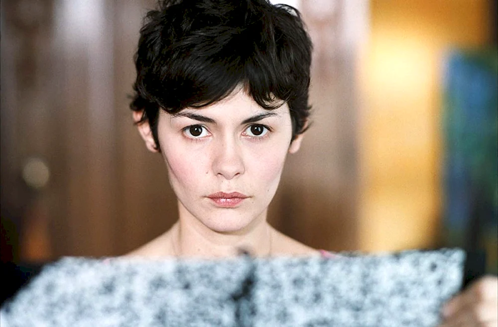 Amelie Film 2001