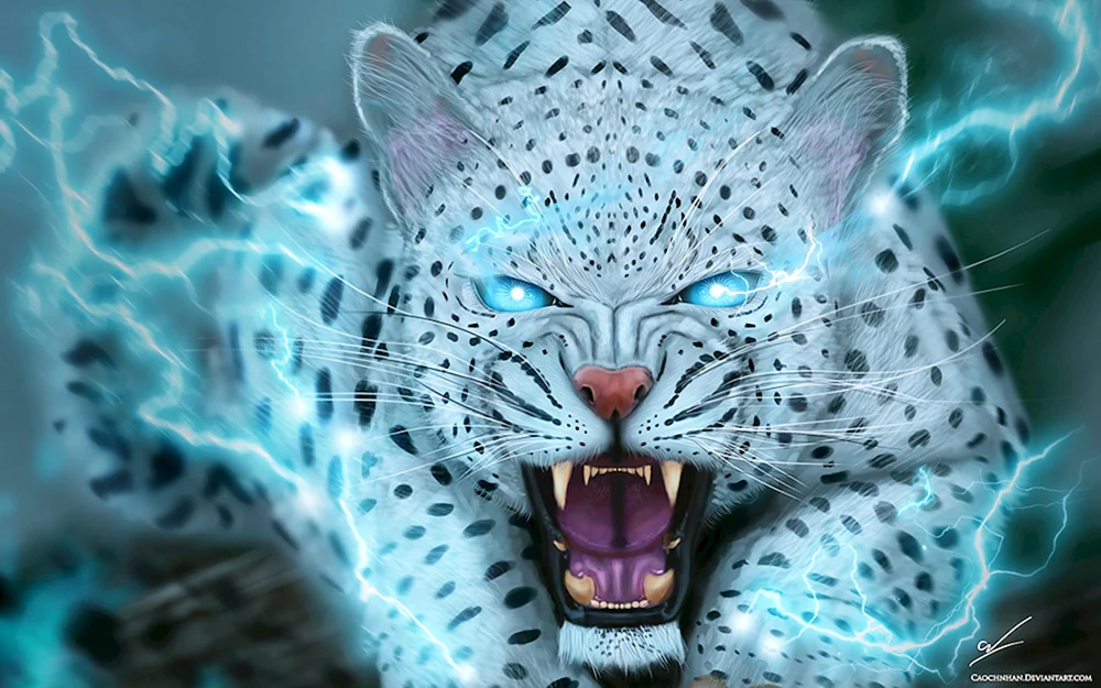 Schneeleopard Schneeleopard Irbis