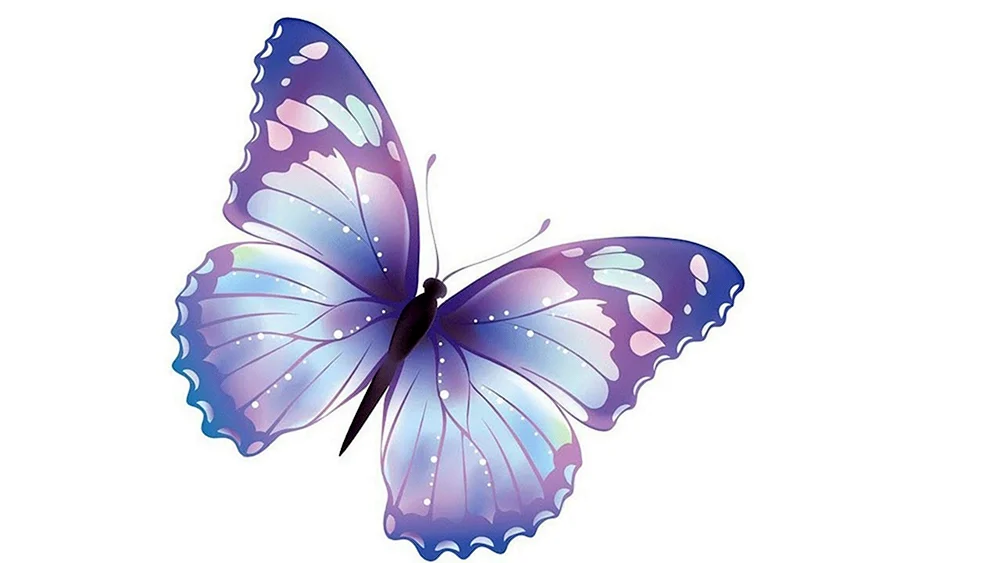 Schmetterling lila