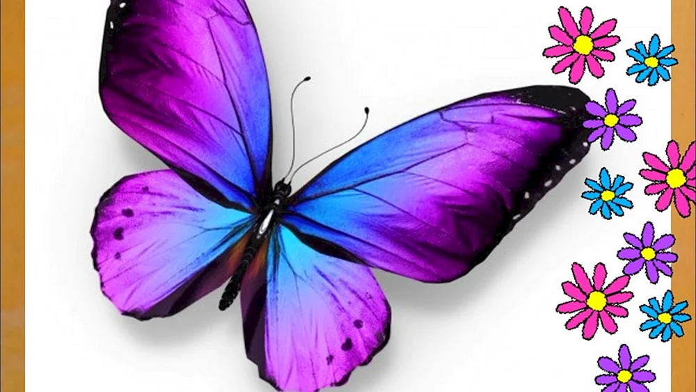 Lila Schmetterling