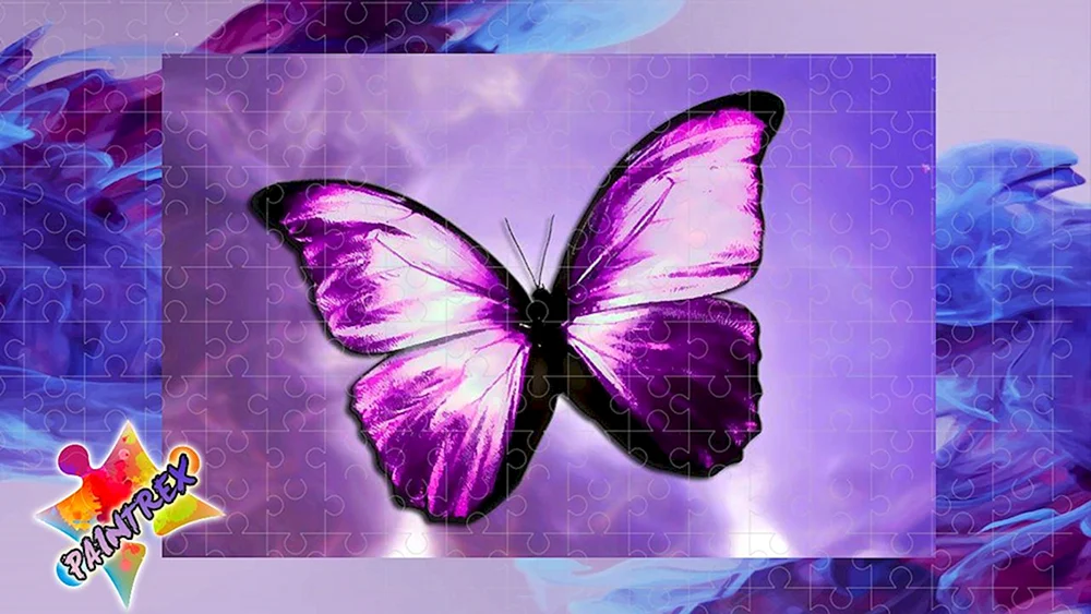 Lila Schmetterling