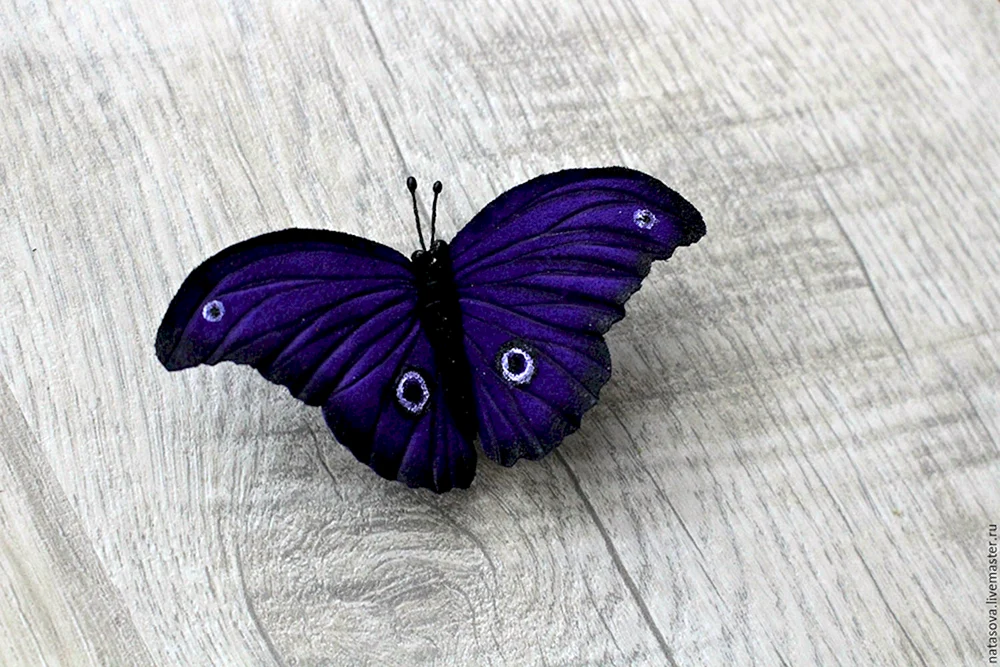 Lila Schmetterling