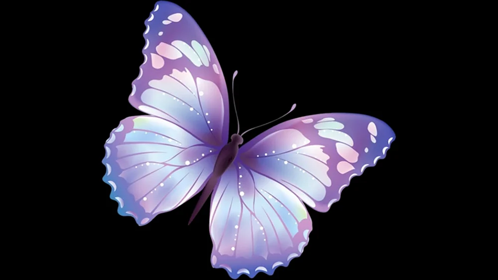 Lila Schmetterling