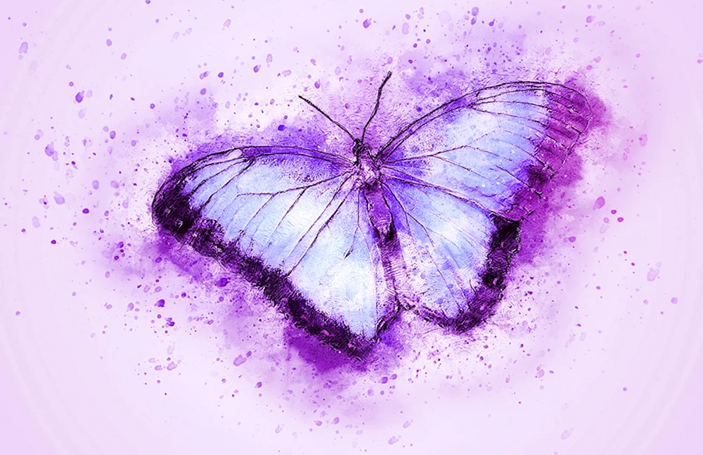 Lila Schmetterling
