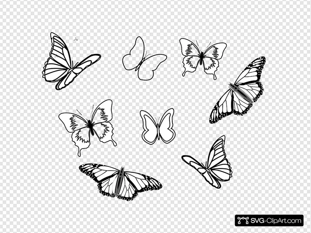 Schmetterling Zeichnung Schmetterling Bleistift