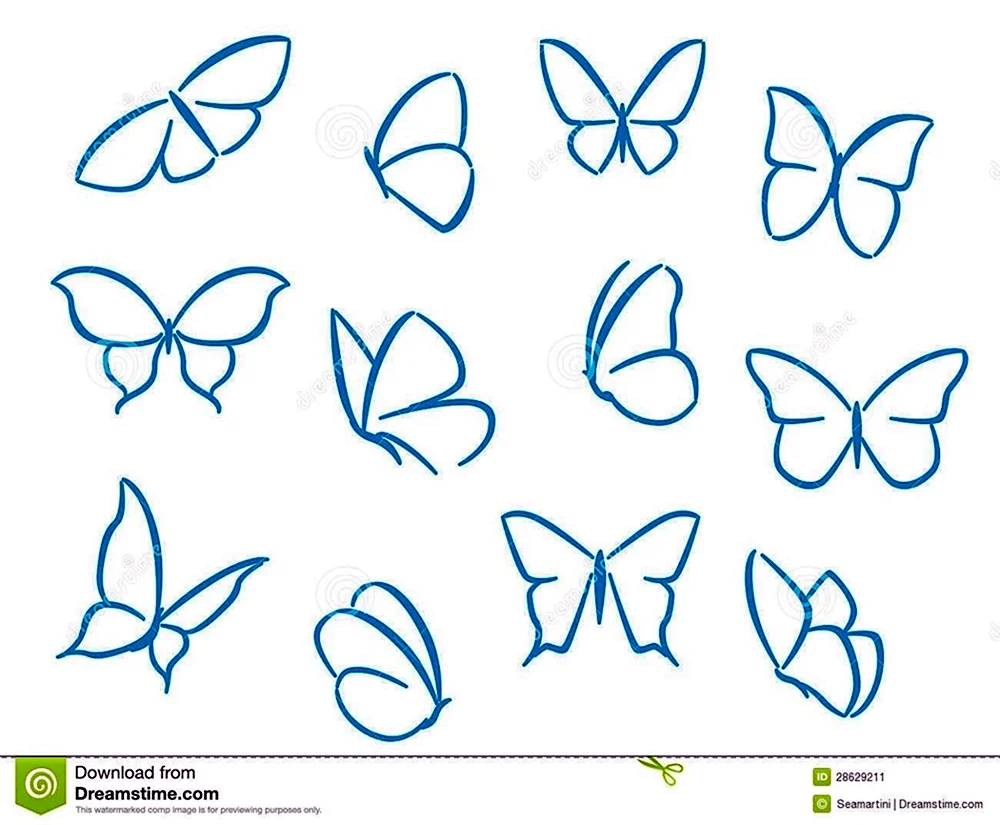 Schmetterling Bleistiftzeichnung