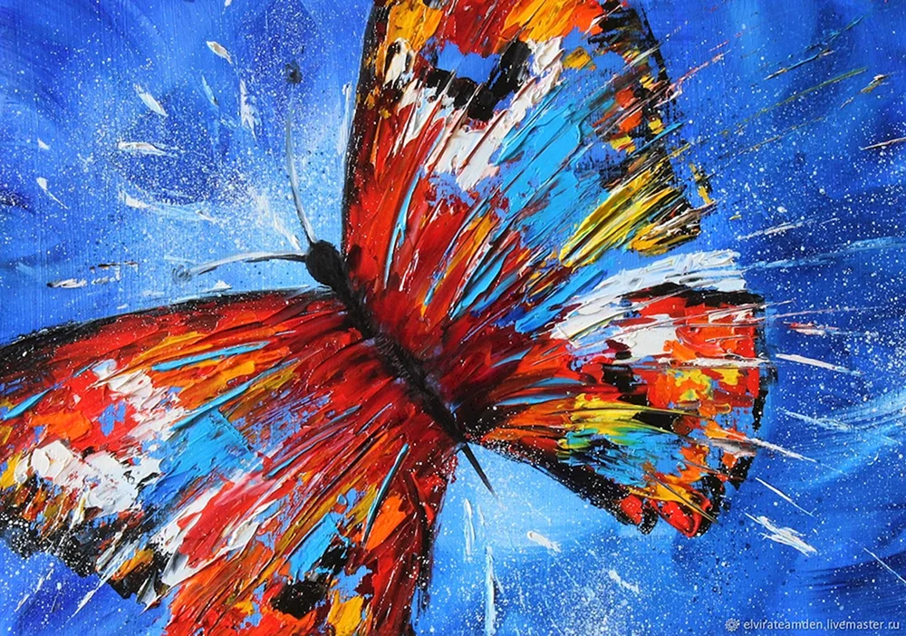 Schmetterlinge Schmetterlinge