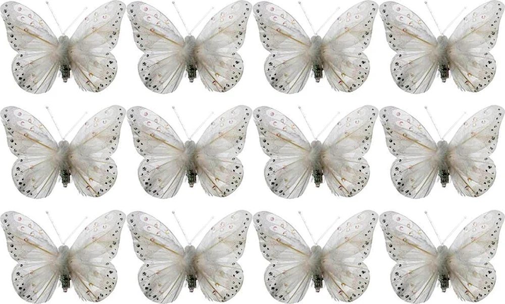 Hellblauer Schmetterling