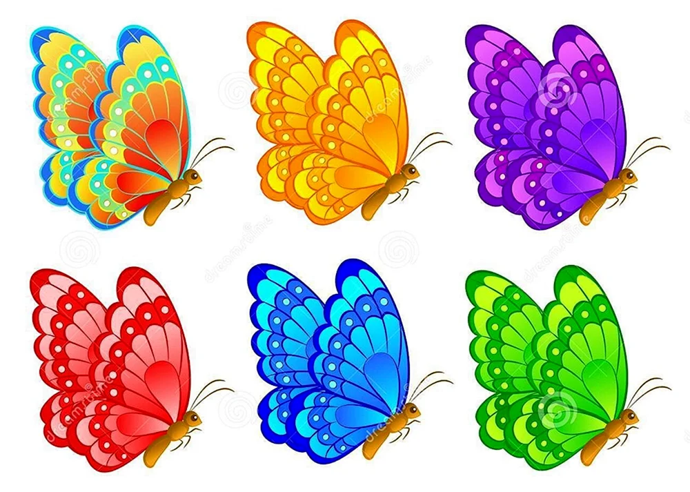 Bunte Schmetterlinge