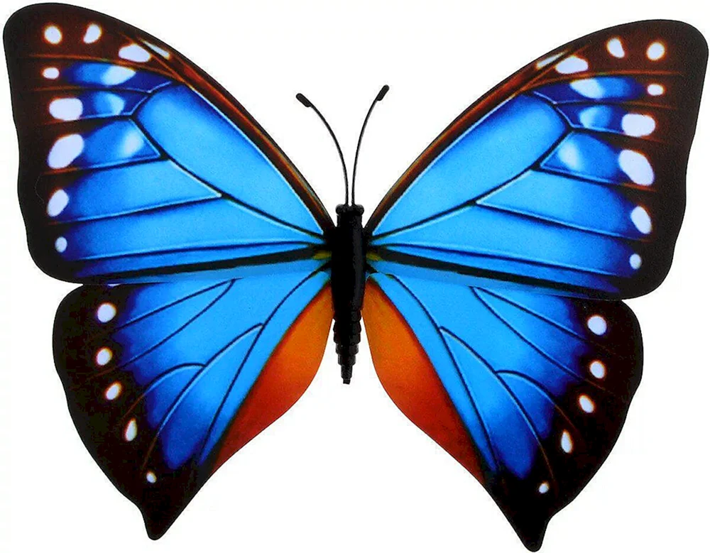 Bunte Schmetterlinge. Schmetterlinge zum Ausschneiden