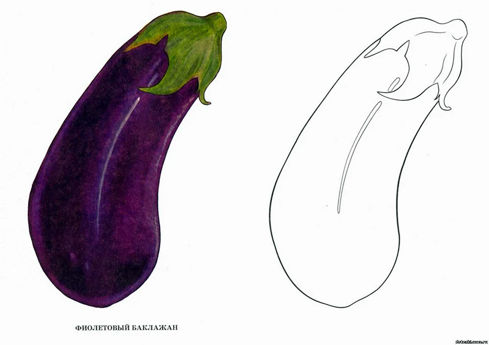 Aubergine färben