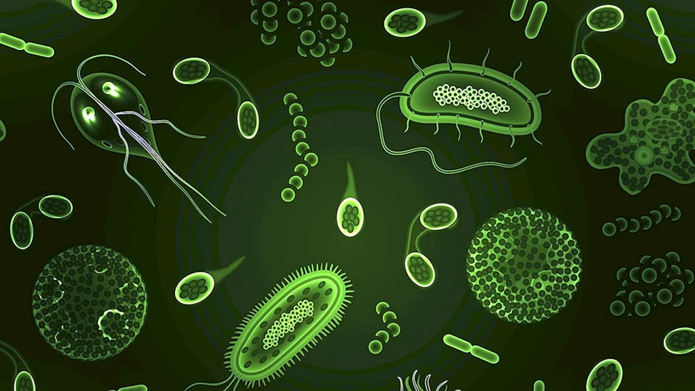 Bacterium Covid-. 19