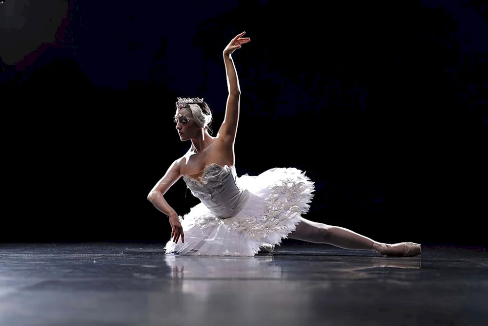 Swan Lake Ballerina