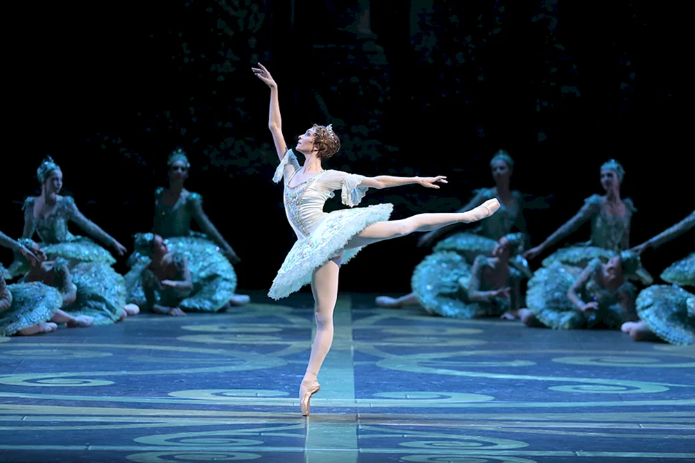 Ballett Dornröschen Tchaikovsky