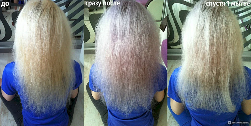 Concept Arctic blond Balsam