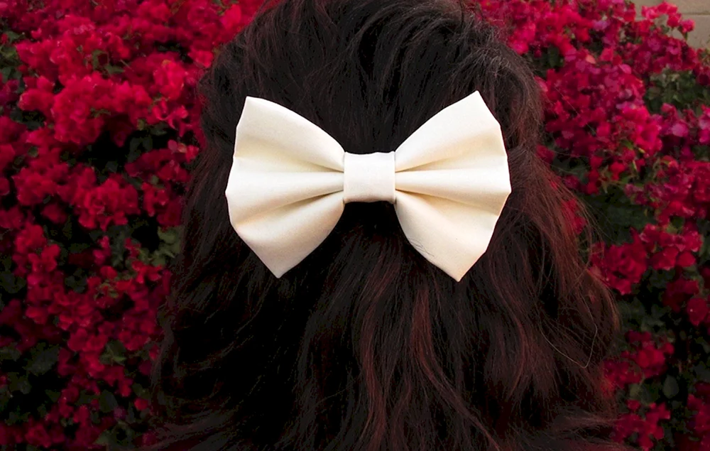 Swirl's hairstyle