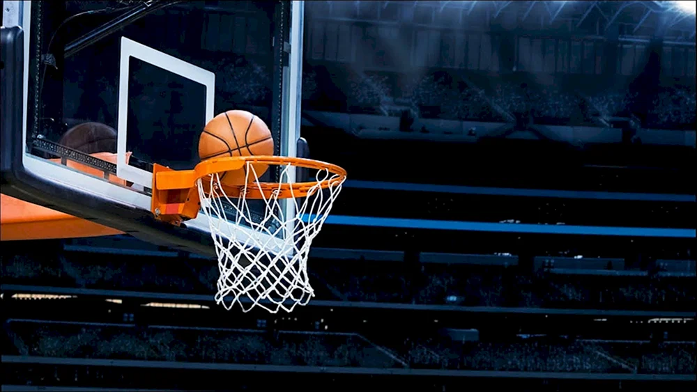 Basketballring mit Ring und Netz SZh 037